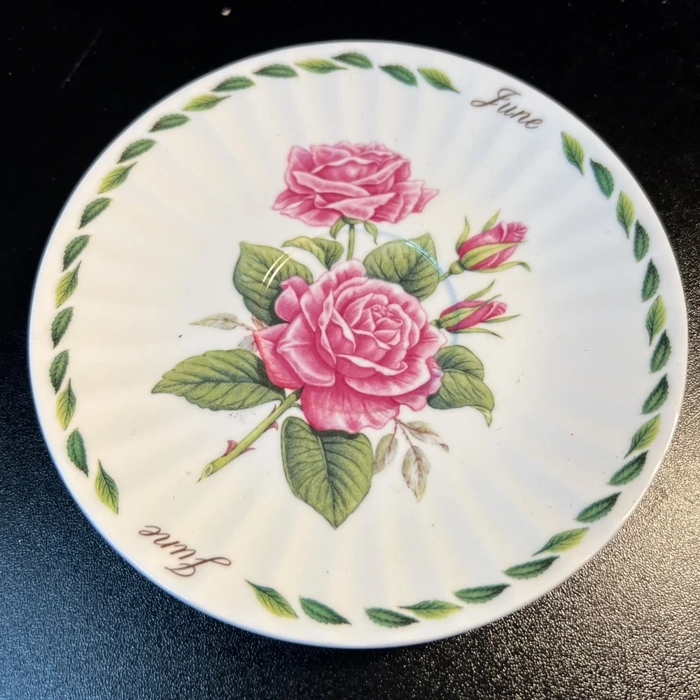Dynasty Royal Patrician Fine Bone China England JUNE Pink Roses Tea Cup & Saucer